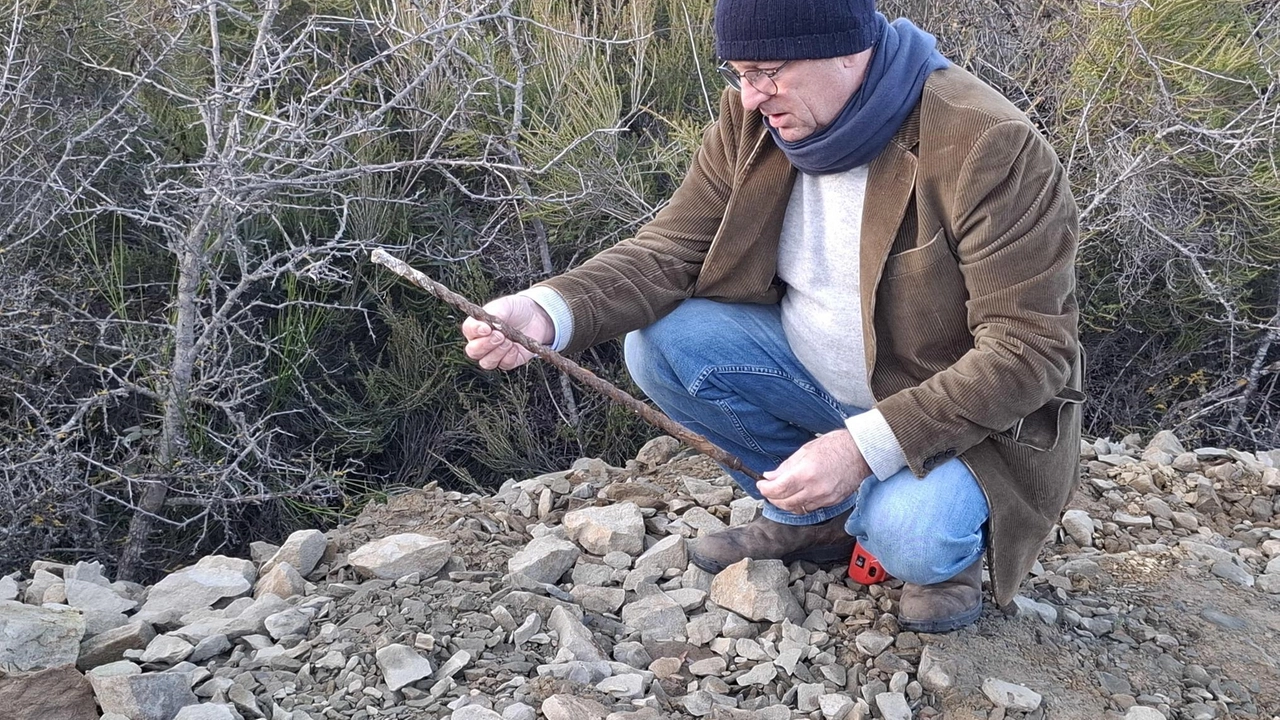 Ha suscitato una grande curiosità lo scavo ritrovato lungo la Strada Provinciale 68 che porta a San Michele, poco dopo... Ha suscitato una grande curiosità lo scavo ritrovato lungo la Strada Provinciale 68 che porta a San Michele, poco dopo...