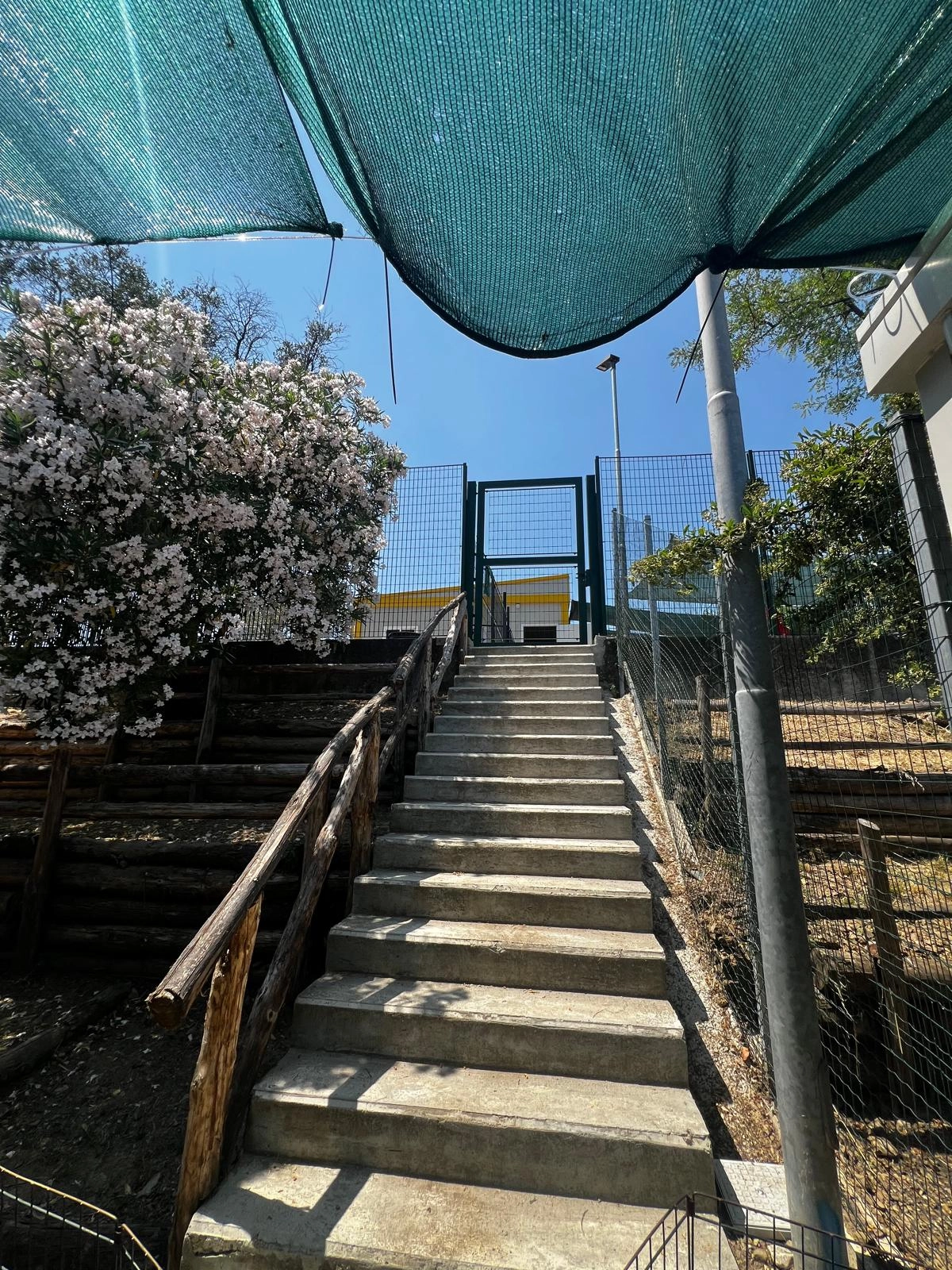 immagine di sfondo 2