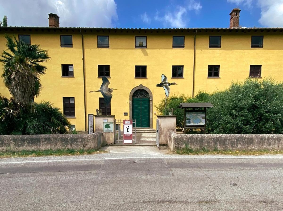 https://www.lanazione.it/image-service/view/acePublic/alias/contentid/YzRlMDNkNGUtZDVjOC00/0/con-wikilago-un-mese-di-iniziative-dedicate-a-natura-arte-e-cultura.jpeg?f=1.90:1&w=1200