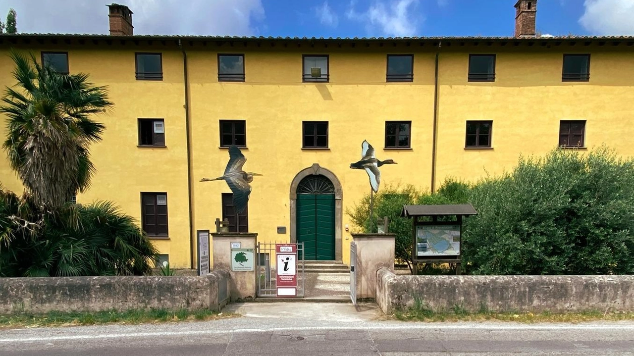 Con "Wikilago" un mese di iniziative dedicate a natura, arte e cultura