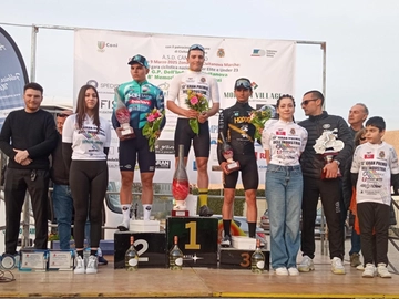 immagine articolo