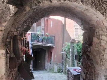 immagine articolo
