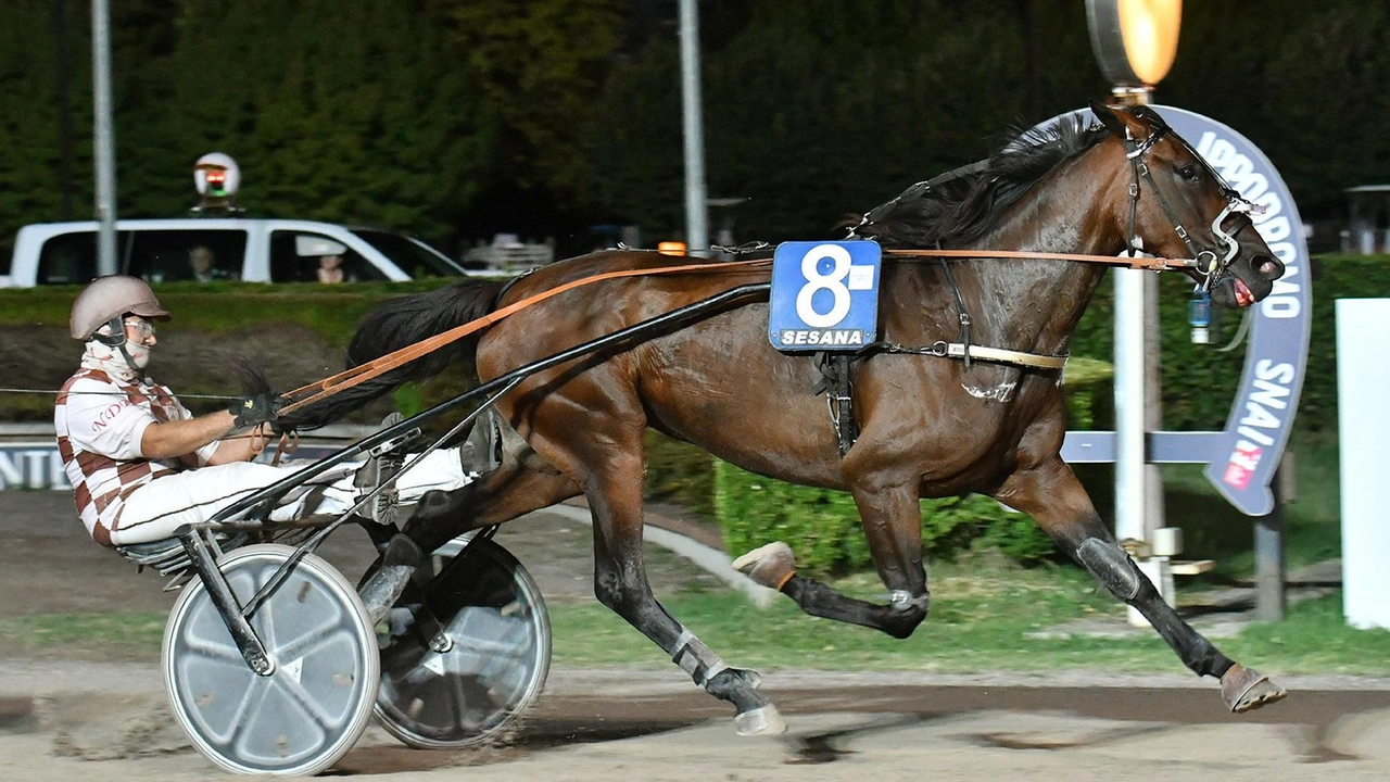 È stato un convegno speciale quello di sabato sera all’ippodromo Sesana. Tutte le sette corse in programma sono state dedicate... È stato un convegno speciale quello di sabato sera all’ippodromo Sesana. Tutte le sette corse in programma sono state dedicate...