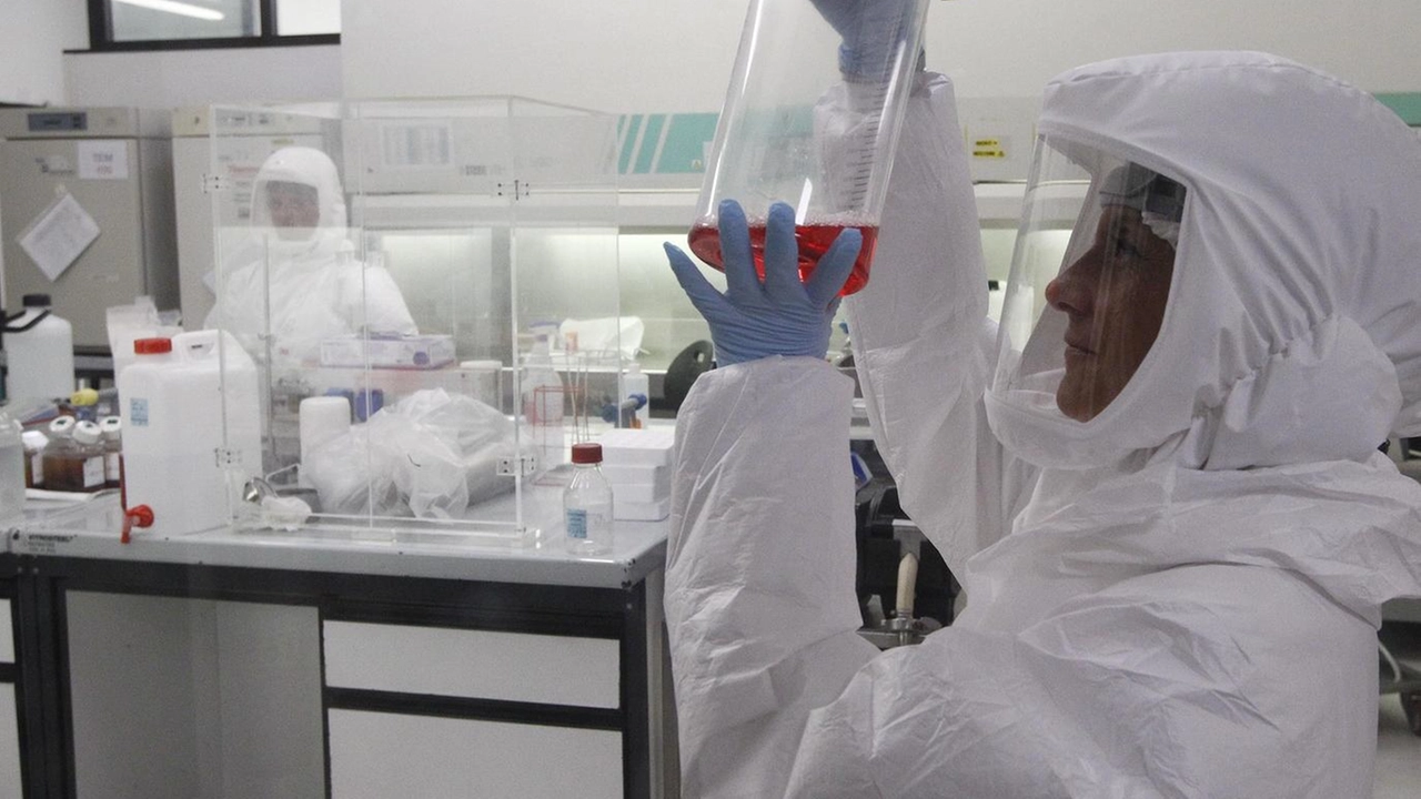 Diesse Diagnostica Senese è un’azienda italiana leader nella produzione di sistemi diagnostici innovativi e di reagenti dedicati al mercato della diagnostica in vitro Diesse Diagnostica Senese è un’azienda italiana leader nella produzione di sistemi diagnostici innovativi e di reagenti dedicati al mercato della diagnostica in vitro