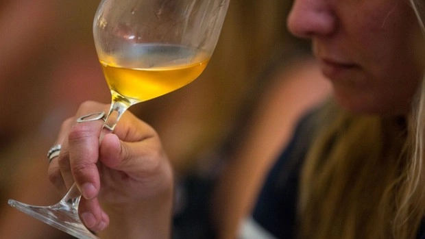 La borsa di studio vuole spronare i giovani a inserire il vino e l'agroalimentare nelle loro competenze La borsa di studio vuole spronare i giovani a inserire il vino e l'agroalimentare nelle loro competenze