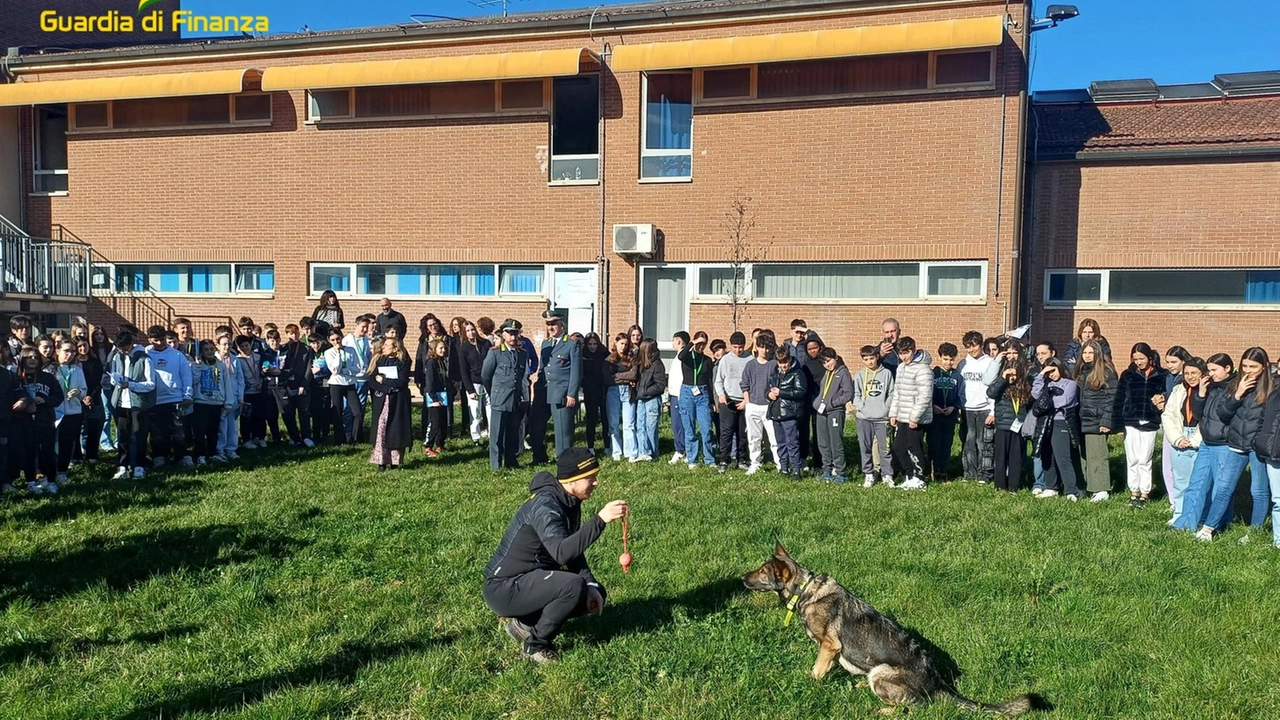 All’incontro conclusivo del progetto, hanno partecipato 200 alunni di vari istituti primari della provincia. Alla base delle lezioni il voler stimolare nei ragazzi una partecipazione attiva alla cittadinanza .
