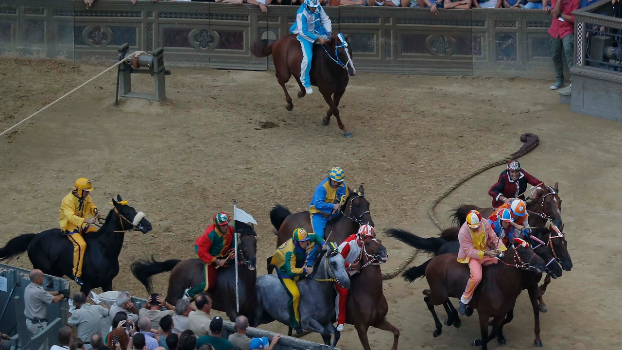 Palio, l'unico dibattito possibile e giusto: la mossa era valida o no? (Foto Lazzeroni)