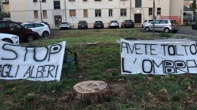 Alcuni manifesti appesi dai residenti di Porta a Lucca per protestare contro il taglio degli alberi Alcuni manifesti appesi dai residenti di Porta a Lucca per protestare contro il taglio degli alberi
