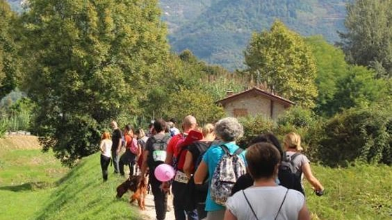 La via Francigena di solito percorsa a piedi, sarà attraversata da una passeggiata a cavallo La via Francigena di solito percorsa a piedi, sarà attraversata da una passeggiata a cavallo