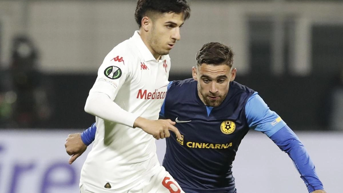 Il giocatore della Fiorentina Primavera Tommaso Rubino piace alla Carrarese Il giocatore della Fiorentina Primavera Tommaso Rubino piace alla Carrarese