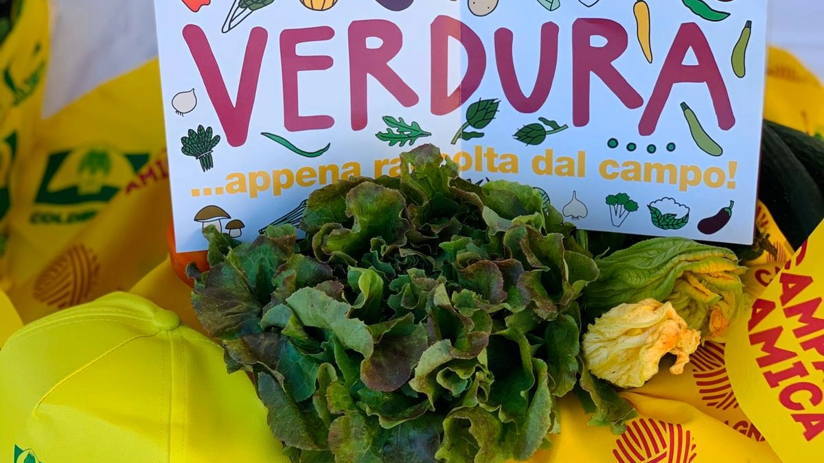 coldiretti coldiretti
