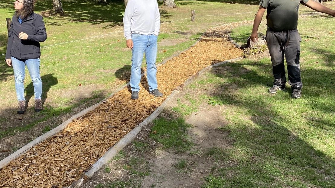 A Castel del Piano nasce un percorso di castaneoterapia per il benessere in natura, coinvolgendo aziende castanicole e università. Progetto sostenuto dalla Regione e mira alla valorizzazione economica del castagneto. A Castel del Piano nasce un percorso di castaneoterapia per il benessere in natura, coinvolgendo aziende castanicole e università. Progetto sostenuto dalla Regione e mira alla valorizzazione economica del castagneto.