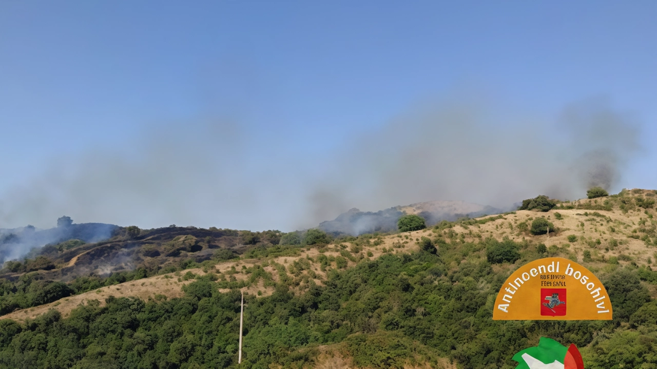 Incendio boschivo a Trasubbie, Campagnatico e Scansano: fiamme sulle colline del torrente Trasubbie, intervento di elicotteri e squadre di volontariato per contenere il fronte e proteggere abitazioni e poderi. Incendio boschivo a Trasubbie, Campagnatico e Scansano: fiamme sulle colline del torrente Trasubbie, intervento di elicotteri e squadre di volontariato per contenere il fronte e proteggere abitazioni e poderi.