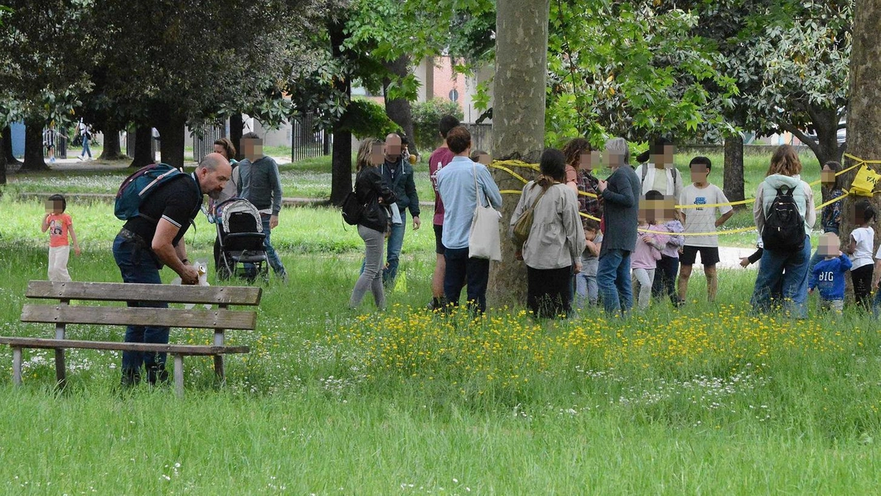 AREZZO Le segnalazioni dei cittadini sulla presenza di erba alta in diverse zone della città hanno sollecitato l’Amministrazione a prendere misure... AREZZO Le segnalazioni dei cittadini sulla presenza di erba alta in diverse zone della città hanno sollecitato l’Amministrazione a prendere misure...