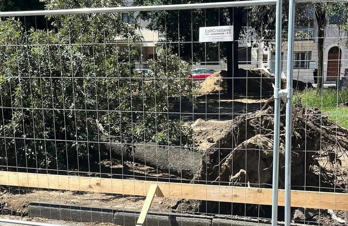 i progressisti sui lavori in piazza piave cronaca di un disastro annunciato