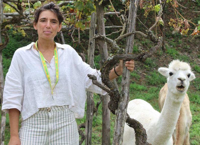 L’oro delle Ande? Si trova a Vernio. Greta e l’allevamento di alpaca: "Un’impresa che parla di famiglia"