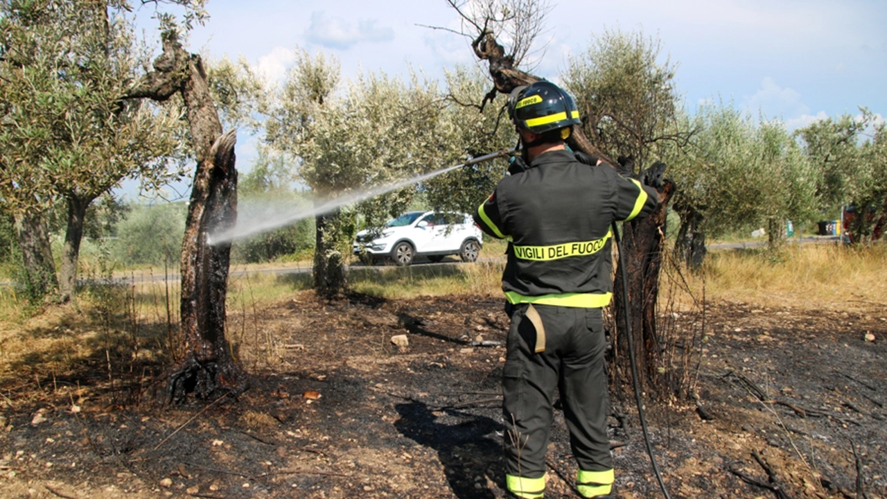 I vigili del fuoco intervenuti per l'incendio a Talente (Foto Germogli) I vigili del fuoco intervenuti per l'incendio a Talente (Foto Germogli)