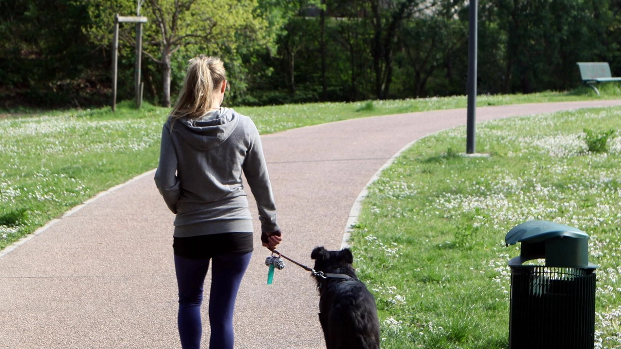 Una donna porta a passeggio il cane in un’area verde. Dal 30 aprile a Levanto non è più possibile andare nelle aree verdi comunali con il proprio fido. Una misura contrastata dall’opposizione (. foto di repertorio Una donna porta a passeggio il cane in un’area verde. Dal 30 aprile a Levanto non è più possibile andare nelle aree verdi comunali con il proprio fido. Una misura contrastata dall’opposizione (. foto di repertorio