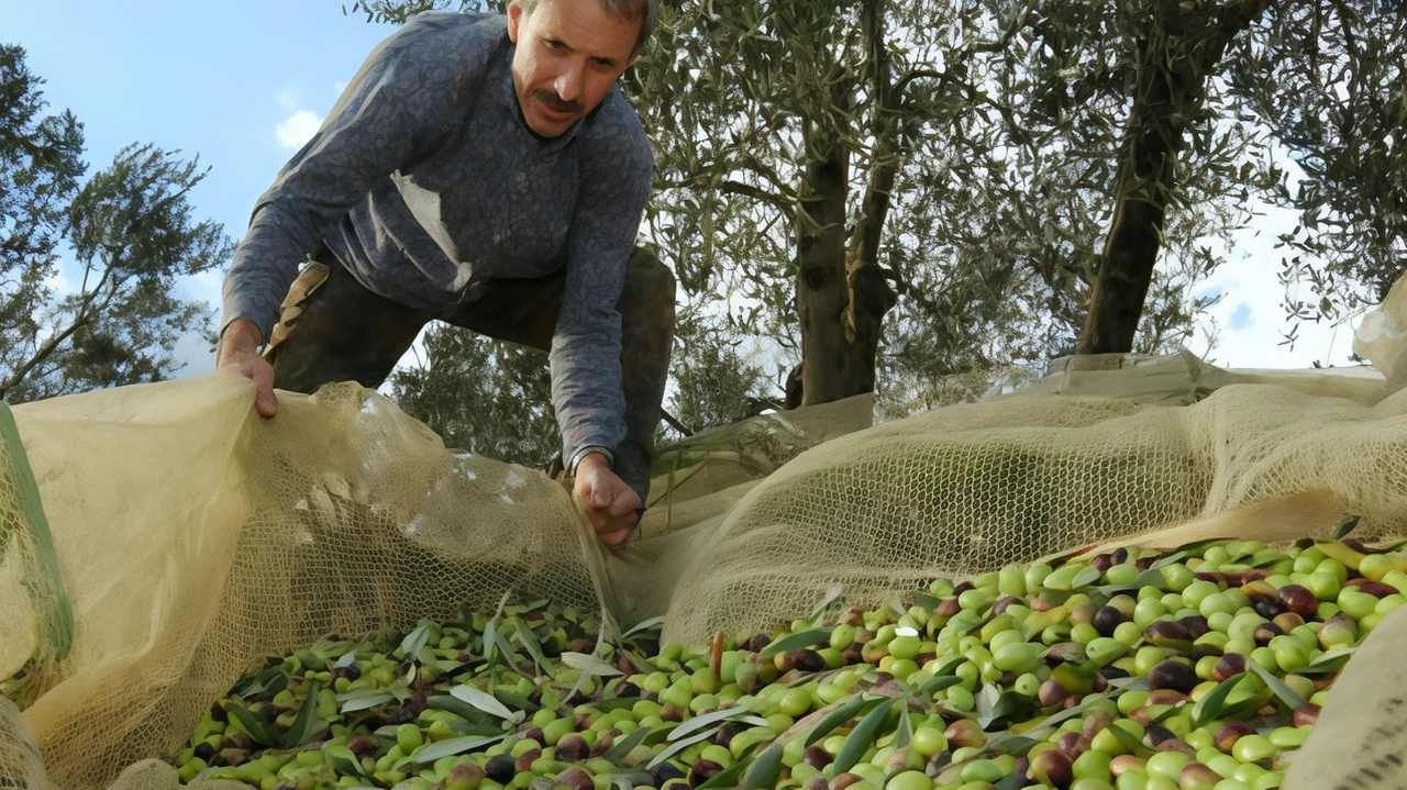La vicepresidente della Regione Toscana lancia la sfida per il futuro "Vogliamo sostenere un’agricoltura moderna che crea valore anche nelle zone più marginali. Strategico investire nell’innovazione". La vicepresidente della Regione Toscana lancia la sfida per il futuro "Vogliamo sostenere un’agricoltura moderna che crea valore anche nelle zone più marginali. Strategico investire nell’innovazione".