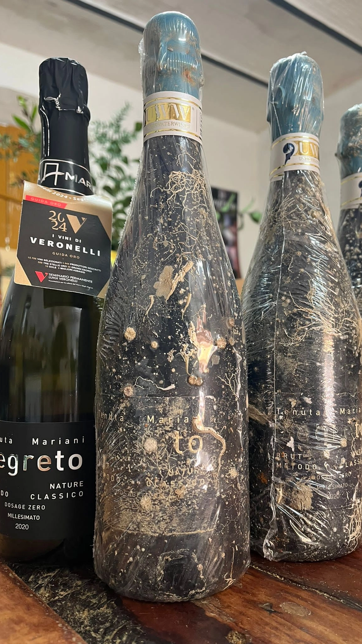 Tenuta Mariani