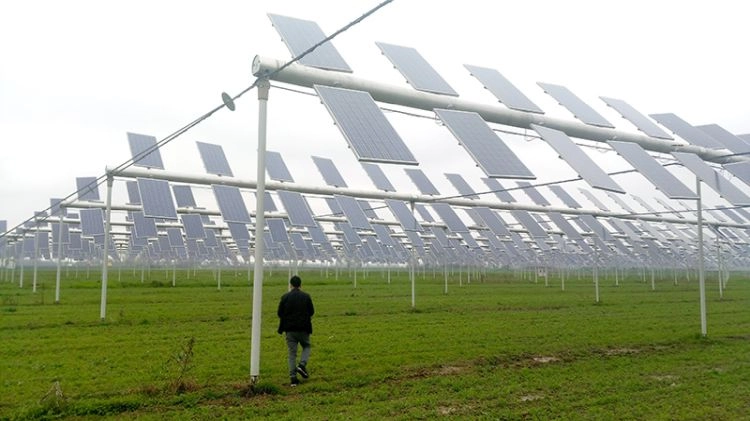Impianto agrifotovoltaico (Foto di repertorio) Impianto agrifotovoltaico (Foto di repertorio)
