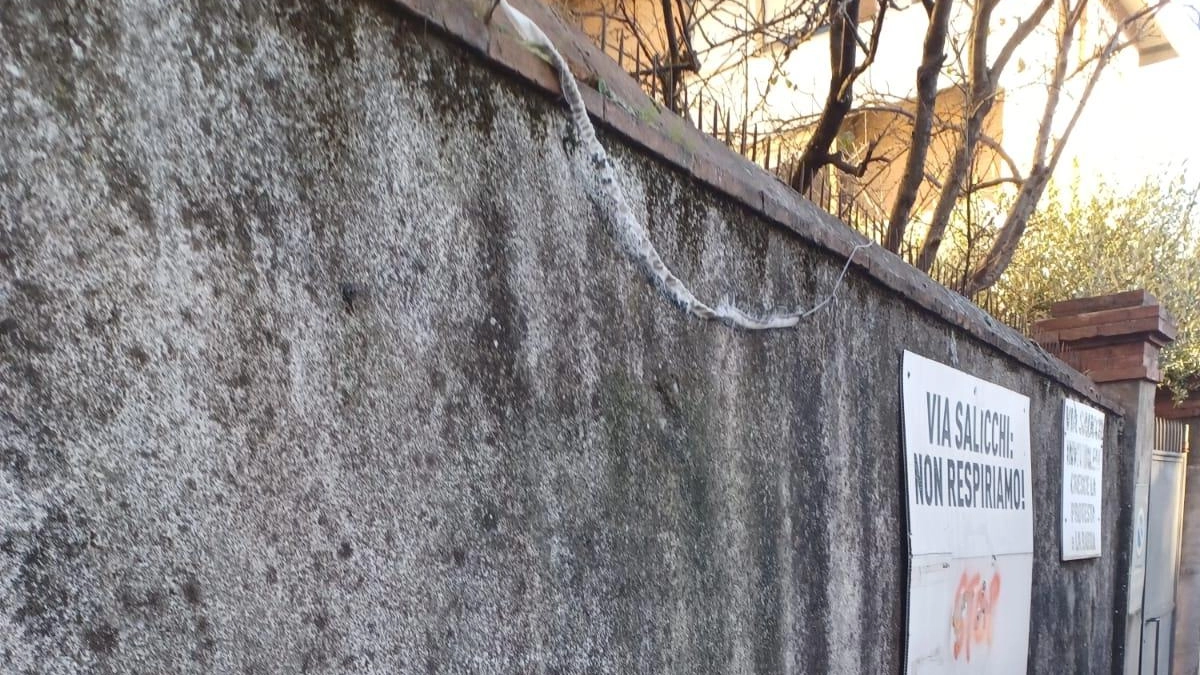 A Lucca il lenzuolo simbolo della protesta a Via Salicchi strappato via: comitati cittadini delusi per mancanza di azioni concrete sulla viabilità. A Lucca il lenzuolo simbolo della protesta a Via Salicchi strappato via: comitati cittadini delusi per mancanza di azioni concrete sulla viabilità.