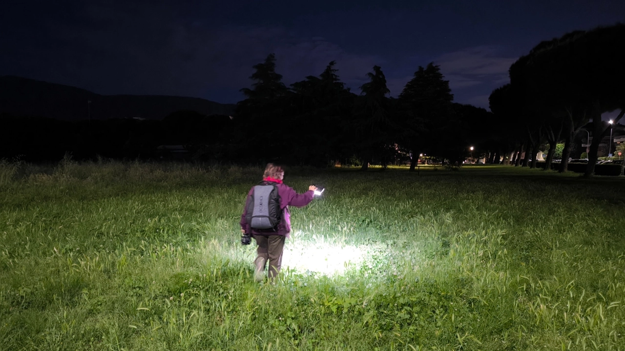 Omicidio a Prato: lite a coltellate nei giardini pubblici, le indagini Omicidio a Prato: lite a coltellate nei giardini pubblici, le indagini