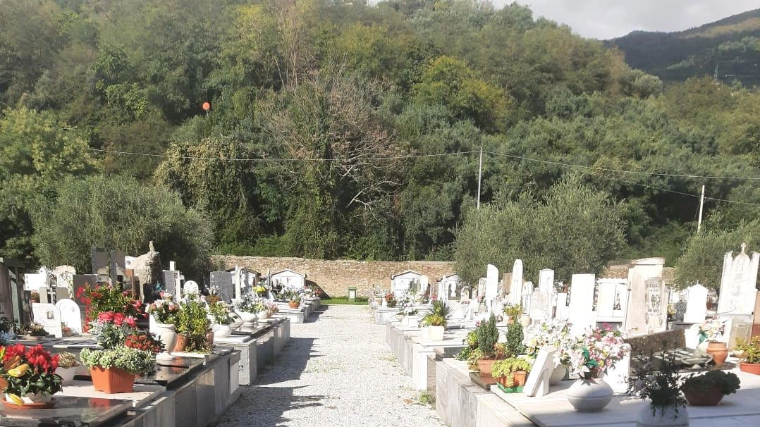 Il cimitero di Strettoia è oggetto di lavori di manutenzione del Comune. Lavori in corso anche a Strettoia e Capezzano Monte, non senza polemiche Il cimitero di Strettoia è oggetto di lavori di manutenzione del Comune. Lavori in corso anche a Strettoia e Capezzano Monte, non senza polemiche