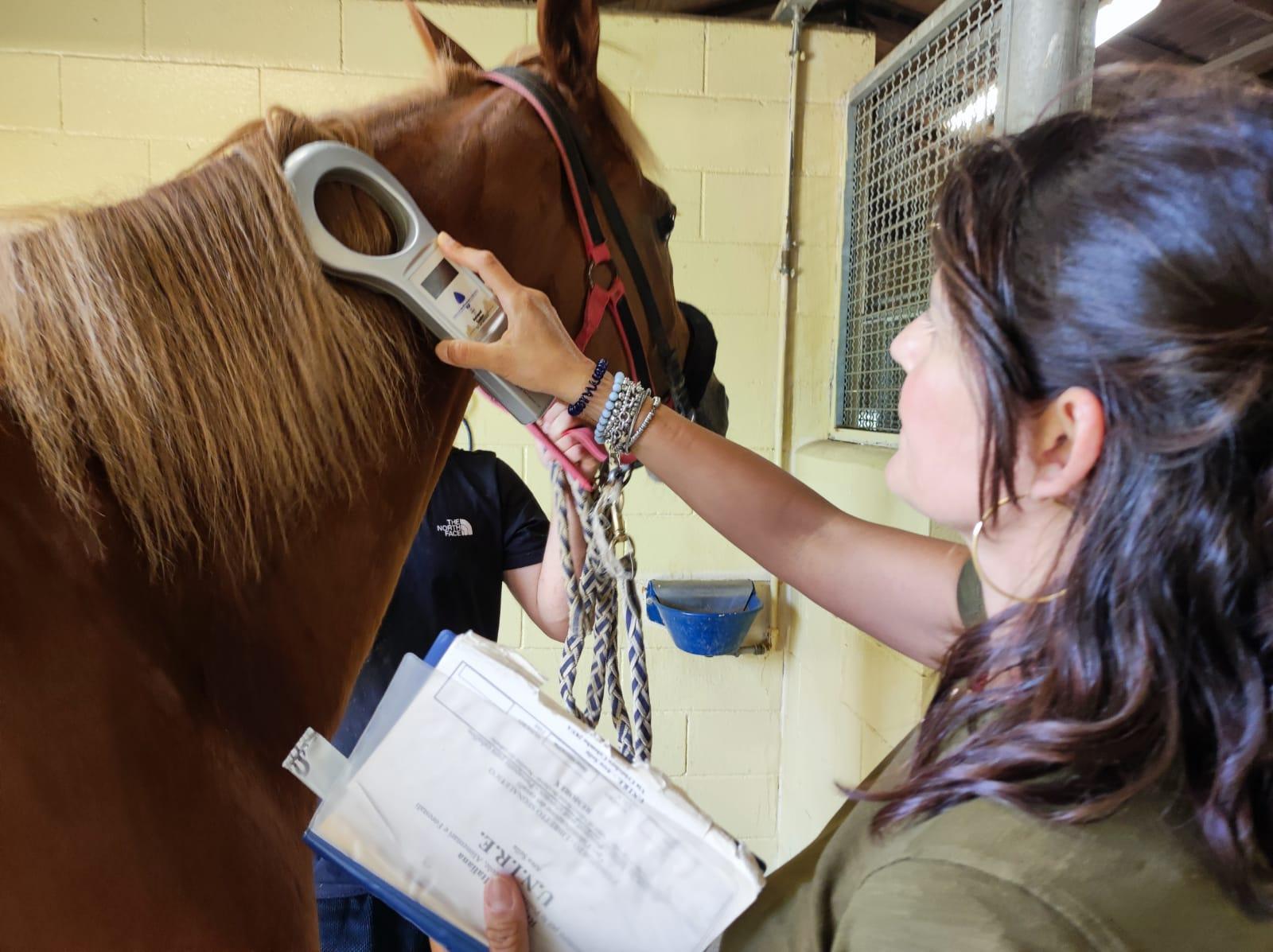 Parametri biometrici e benessere. L’impegno dei veterinari Asl Parametri biometrici e benessere. L’impegno dei veterinari Asl