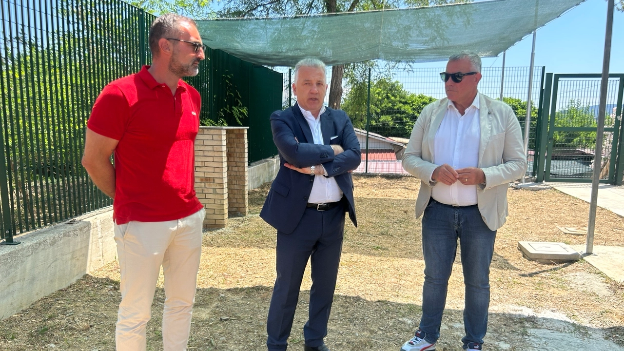 Brogi, Peracchini e Cimino Brogi, Peracchini e Cimino