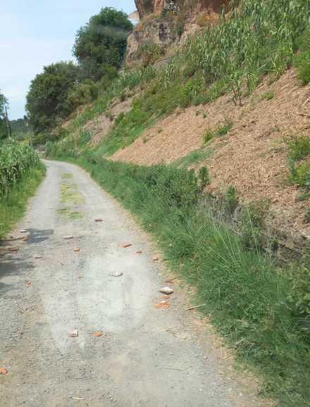 https://www.lanazione.it/image-service/view/acePublic/alias/contentid/Yzc4MzhkOTctMzMwOS00/0/follia-a-pitigliano-sradicano-pietre-e-le-lanciano-in-strada.jpeg