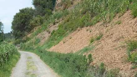 Alcune delle pietre gettate sulla strada Alcune delle pietre gettate sulla strada