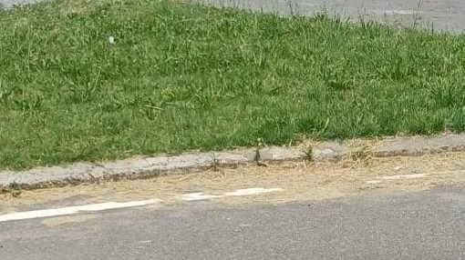SANSEPOLCRO Un impatto violento fra le due vetture, anche se per fortuna non vi sono state gravi conseguenze per le persone... SANSEPOLCRO Un impatto violento fra le due vetture, anche se per fortuna non vi sono state gravi conseguenze per le persone...