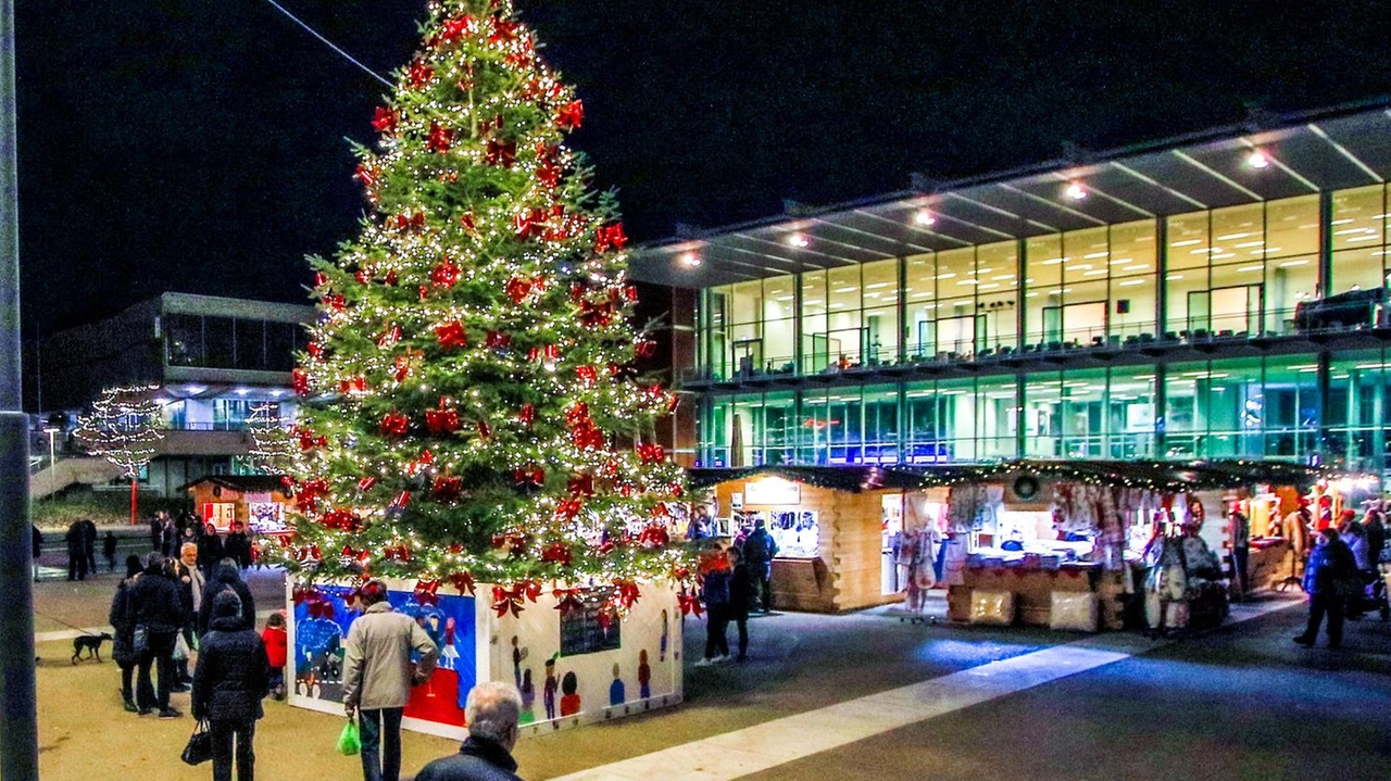 Scopri il programma di eventi natalizi organizzati da Città Futura: mercatini, concerti e animazione per un Natale magico. Scopri il programma di eventi natalizi organizzati da Città Futura: mercatini, concerti e animazione per un Natale magico.