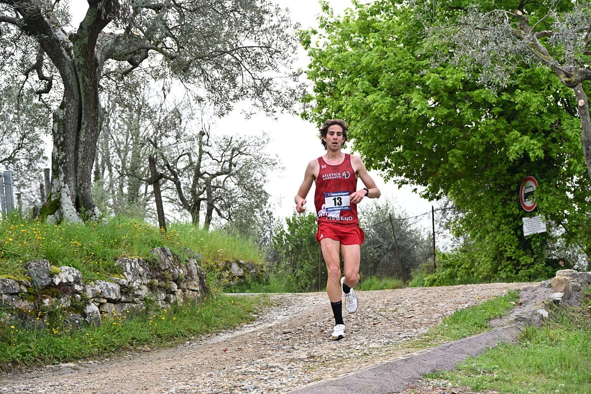 immagine di sfondo 25