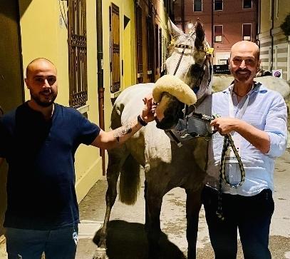https://www.lanazione.it/image-service/view/acePublic/alias/contentid/YzdhOGU1MmMtYmEwNS00/0/quella-passione-vincente-dei-pianesi-per-i-cavalli.jpeg