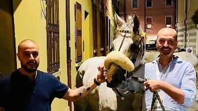 La vittoria del cavallo El Rey montato da Gavino Sanna nel Palio delle contrade di Fucecchio, così come la vittoria... La vittoria del cavallo El Rey montato da Gavino Sanna nel Palio delle contrade di Fucecchio, così come la vittoria...