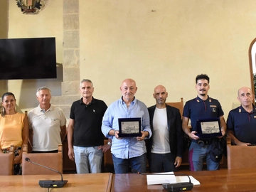 immagine articolo