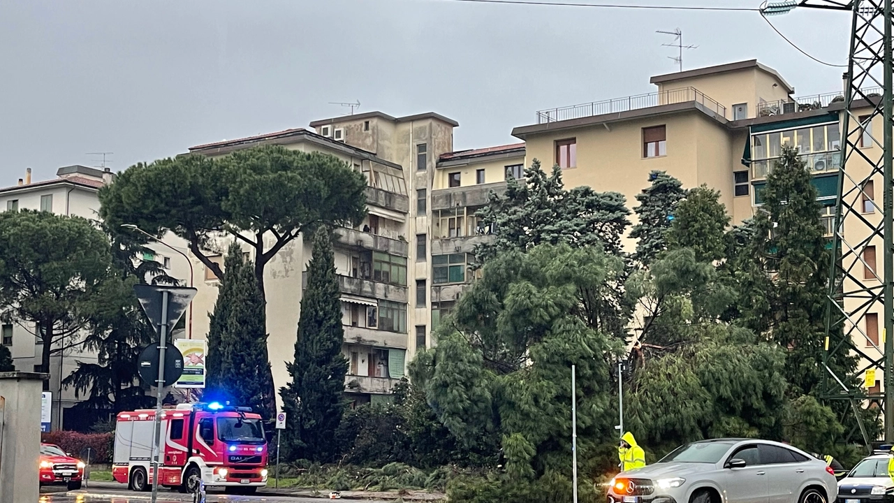 L’intervento dei vigili del fuoco