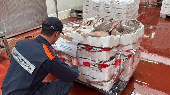 Pesce in vendita senza la tracciabilità. Scatta sequestro di 160 chili. Contestata la multa di 1.500 euro Pesce in vendita senza la tracciabilità. Scatta sequestro di 160 chili. Contestata la multa di 1.500 euro