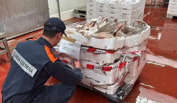 Pesce in vendita senza la tracciabilità. Scatta sequestro di 160 chili. Contestata la multa di 1.500 euro