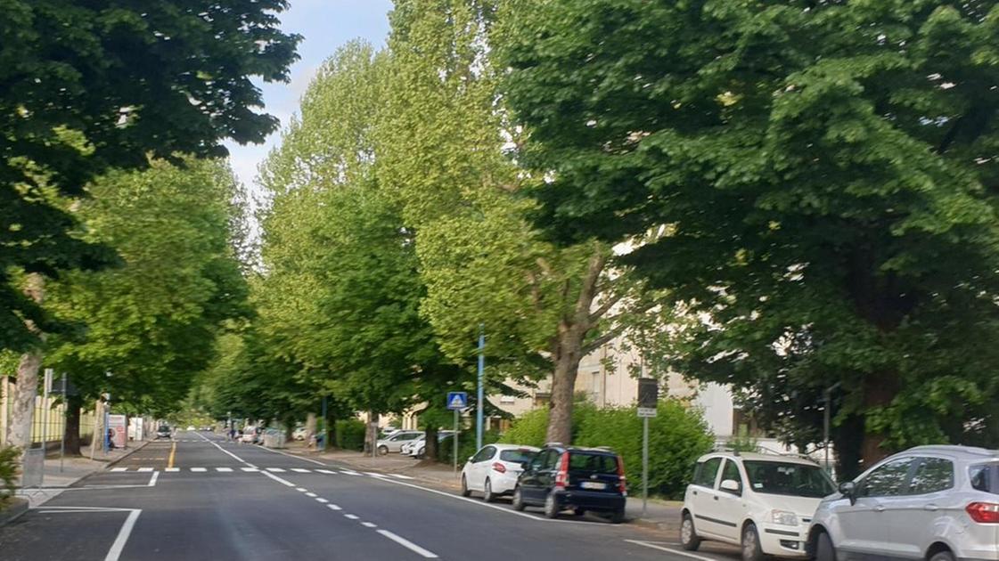 Strade dissestate. Botta e risposta. Pd Chiassai