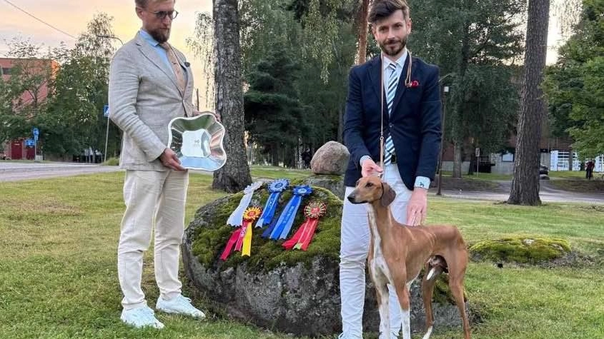 Campione del mondo Azamour Stradivarius, di 4 anni; nel 2014 fu il nonno Azamour Najla a conquistare lo stesso riconoscimento Campione del mondo Azamour Stradivarius, di 4 anni; nel 2014 fu il nonno Azamour Najla a conquistare lo stesso riconoscimento