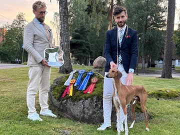 immagine articolo