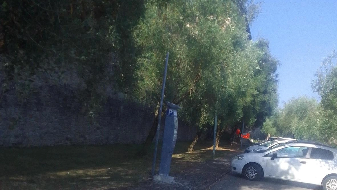 Cresce la polemica sui parcheggi di Castiglione del Lago «Più stalli gratuiti vicino a ospedale e uffici» Cresce la polemica sui parcheggi di Castiglione del Lago «Più stalli gratuiti vicino a ospedale e uffici»