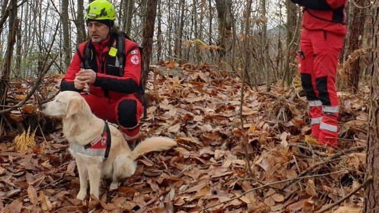 Una foto. dei volontari della Croce rossa poliziana con uno dei cani addestrati per la ricerca dei dispersi che sono stati a Montecatini Val di Cecina Una foto. dei volontari della Croce rossa poliziana con uno dei cani addestrati per la ricerca dei dispersi che sono stati a Montecatini Val di Cecina