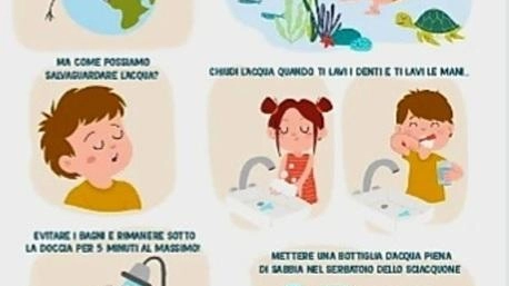 Sei semplici gesti per evitare sprechi