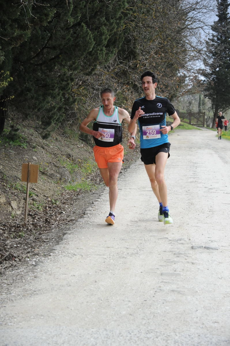 immagine di sfondo 11