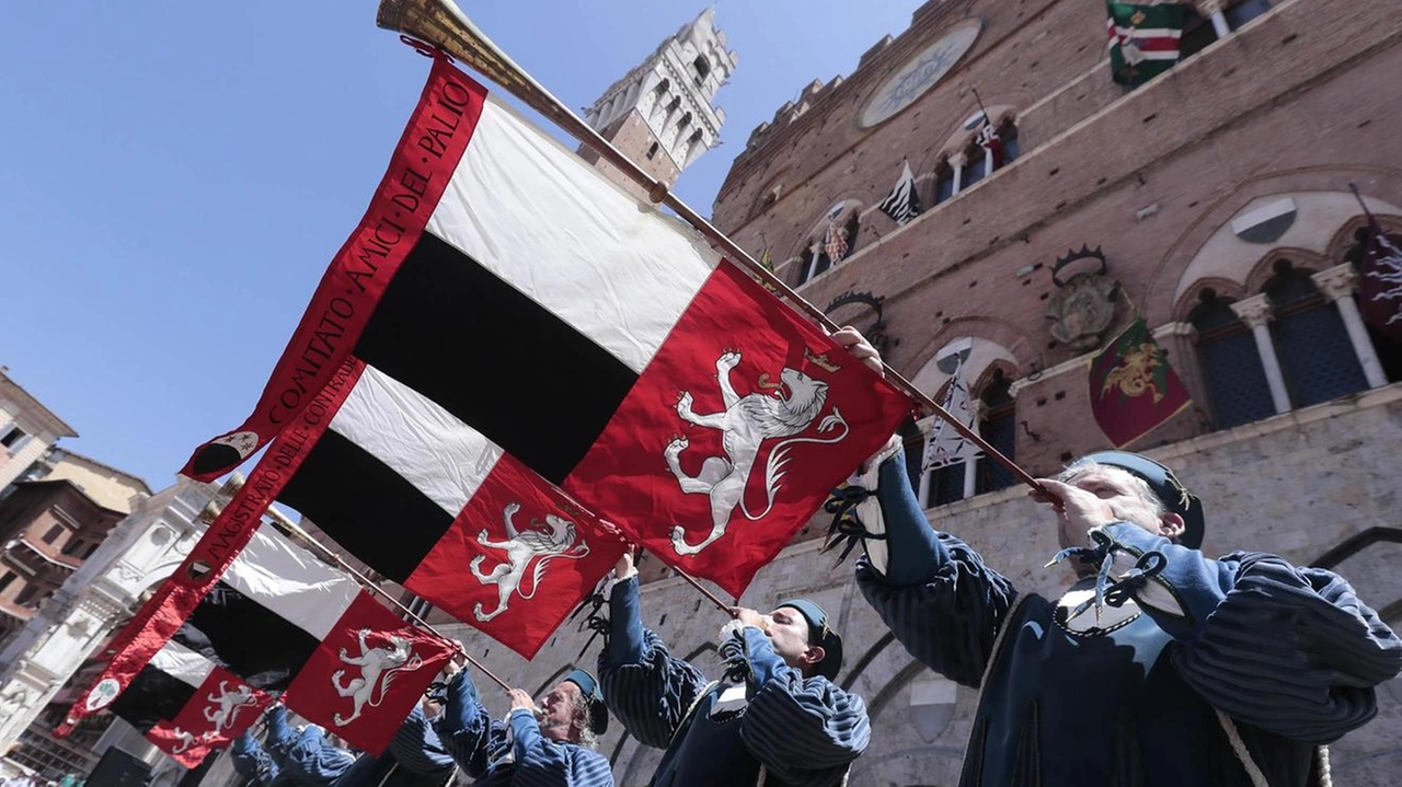 Grande emozione oggi in Piazza. per l’assegnazione dei cavalli: i dieci capitani hanno scelto chi andrà a prendere il barbero tentando la sorte Grande emozione oggi in Piazza. per l’assegnazione dei cavalli: i dieci capitani hanno scelto chi andrà a prendere il barbero tentando la sorte