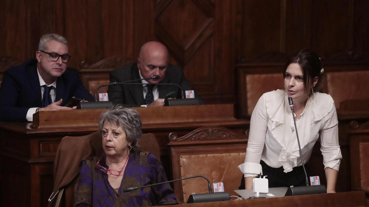 I consiglieri Dem: "Esterrefatti dalla risposta dell’assessore Tucci in aula" I consiglieri Dem: "Esterrefatti dalla risposta dell’assessore Tucci in aula"
